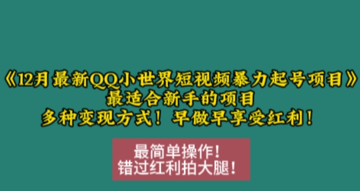 12月最新QQ小世界短视频暴力起号项目，最适合新手的项目，多种变现方式-时课网
