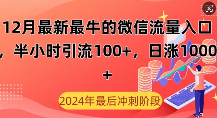12月最新最牛的微信流量入口，半小时引流100+创业粉，日涨粉1000+-时课网