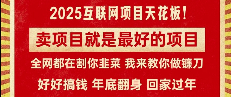 卖项目就是最好的项目，2025年互联网项目天花板