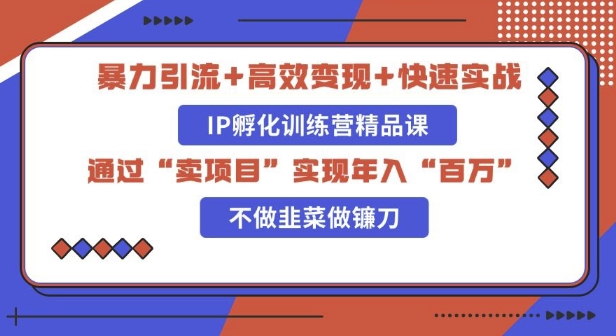 知识付费独家玩法：精准引流+高效变现，简单复制成功模式，最新IP共创导师训练营玩法-时课网