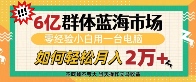 6亿群体蓝海市场，零经验小白用一台电脑，如何轻松月入过w【揭秘】-时课网