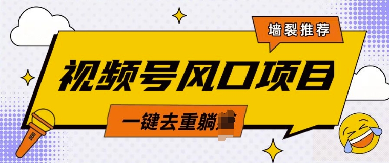 视频号风口蓝海项目，中老年人的流量密码，简单无脑，一键去重，轻松月入过W-时课网