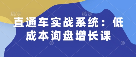 直通车实战系统：低成本询盘增长课，让个人通过技能实现升职加薪，让企业低成本获客，订单源源不断-时课网