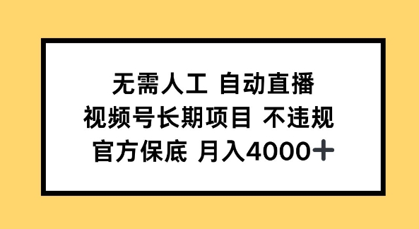 无需人工自动直播，视频号长期项目 不违规，官方保底月入4k左右-时课网