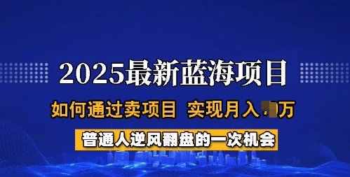 2025蓝海项目，普通人如何通过卖项目，实现月入过W，全过程【揭秘】-时课网