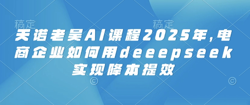 天诺老吴AI课程2025年，电商企业如何用deeepseek实现降本提效-时课网