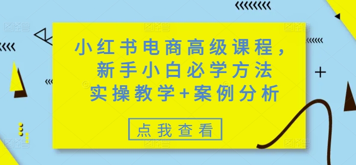 小红书电商高级课程，新手小白必学方法，实操教学+案例分析-时课网
