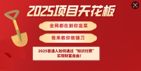 2025项目天花板普通人如何通过知识付费，实现财F自由【揭秘】-时课网