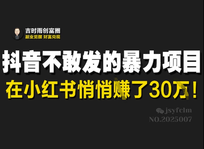 抖音不敢发的暴利项目，在小红书悄悄挣了30W-时课网