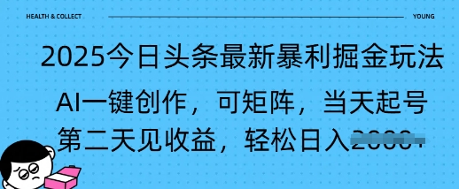 2025今日头条最新暴利掘金玩法，AI一键创作，可矩阵，当天起号，第二天见收益轻松日入多张-时课网