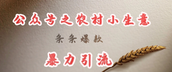 deepseek写农村小项目，条条爆款，暴力引流-时课网