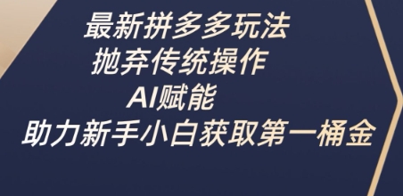 最新拼多多玩法，抛弃传统操作，AI赋能，助力新手小白获取第一桶金-时课网