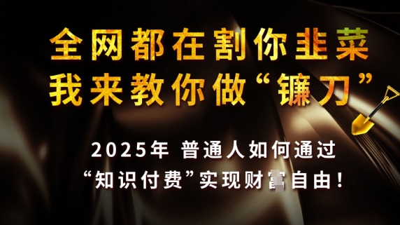 全网都在割你韭菜，我来教你做镰刀，2025普通人如何通过知识付费，实现财F自由【揭秘】-时课网