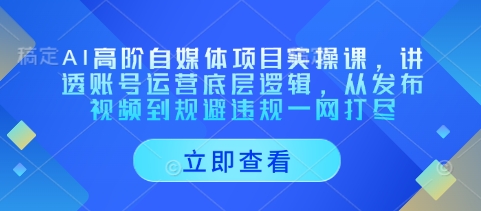 AI高阶自媒体项目实操课，讲透账号运营底层逻辑，从发布视频到规避违规一网打尽-时课网
