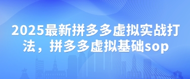2025最新拼多多虚拟实战打法，拼多多虚拟基础sop-时课网